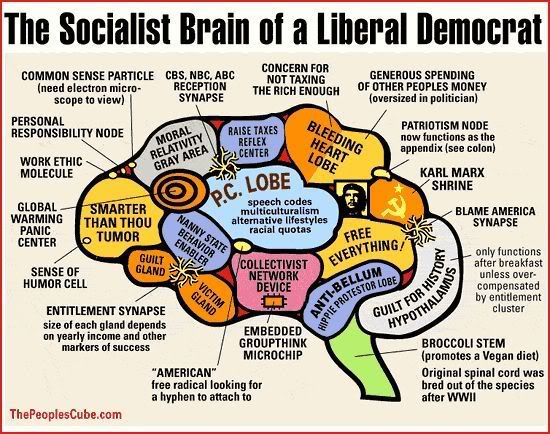 Liberal_Brain.jpg