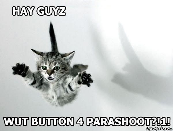 FlyingCat.jpg Flying Cat image by georgiaangel52682
