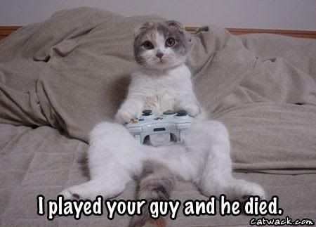 Cat Gamer