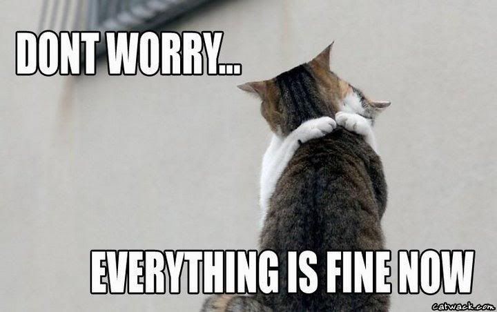 HugCats.jpg