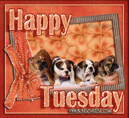 Happy Tuesday Pictures, Images and Photos