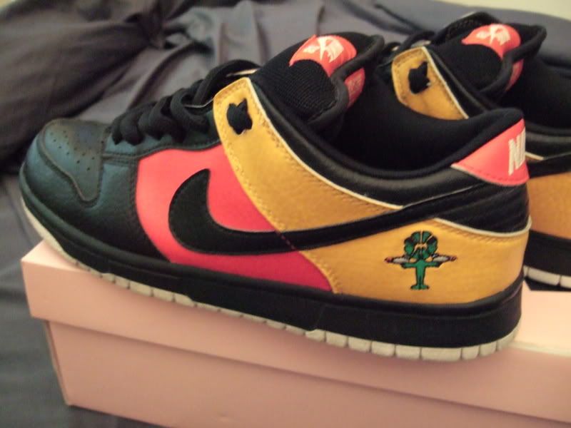 Nike Sb Rayguns