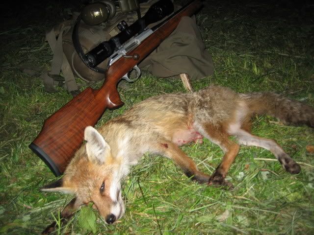 fuchs_04.jpg