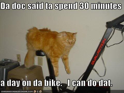 Exercise Bike Pictures, Images and Photos