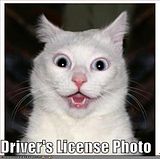 Driver's License Photo