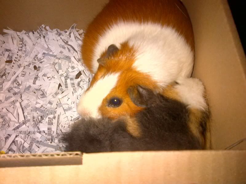 IMG-20120211-00054.jpg